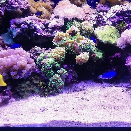 דירה Casa Gianni Mare קאלה גונונה