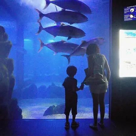 Casa Gianni Mare * Cala Gonone