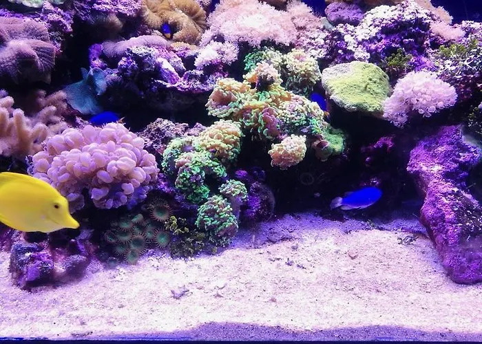 Appartement Casa Gianni Mare Cala Gonone