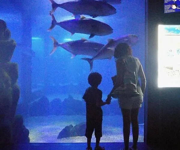 Casa Gianni Mare * Cala Gonone